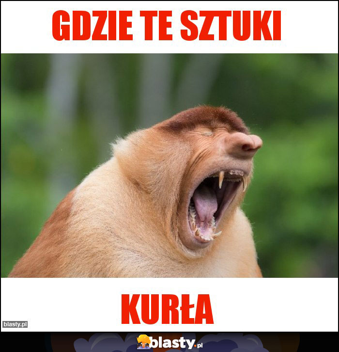 GDZie te sztuki