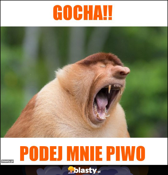 Gocha!!