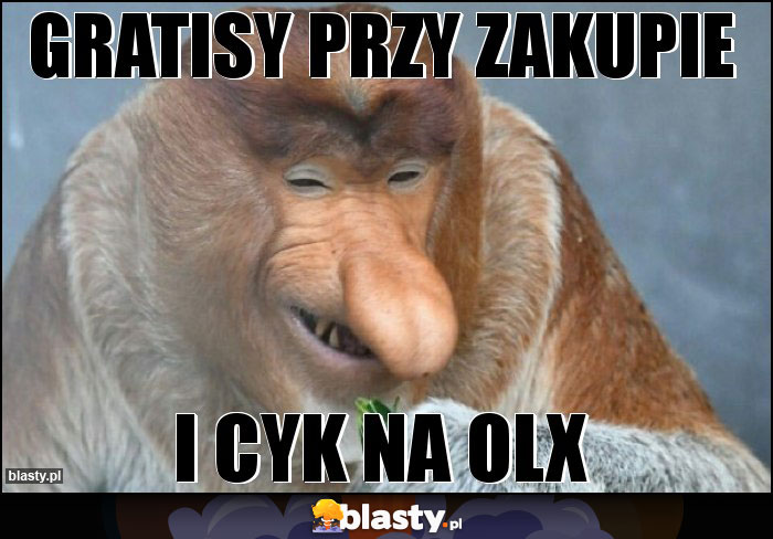 Gratisy przy zakupie