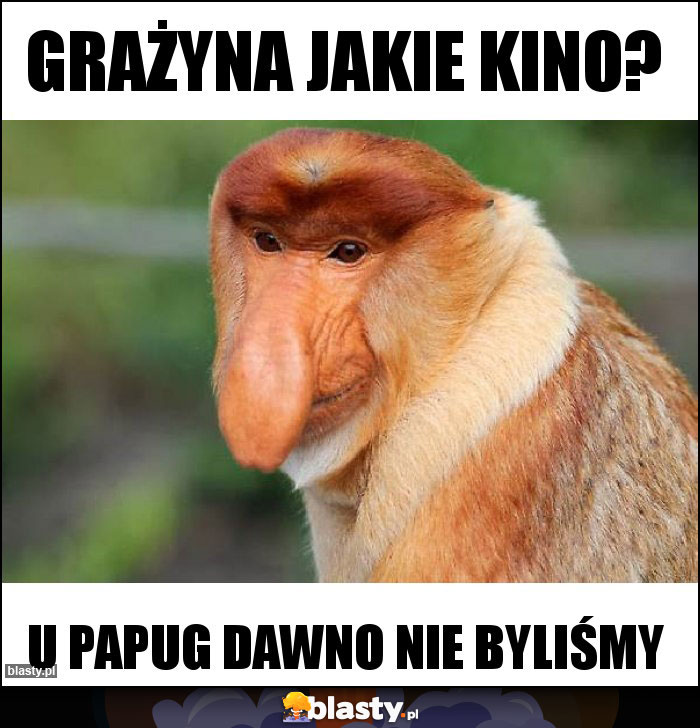 Grażyna jakie kino?