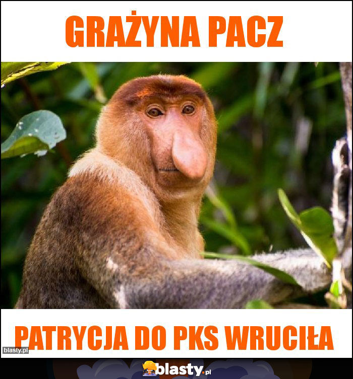 Grażyna pacz