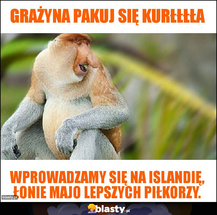 Grażyna pakuj się kurłłłła