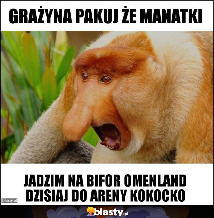 grażyna pakuj że manatki