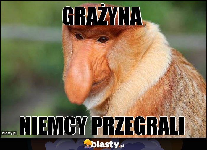 GRAŻYNA