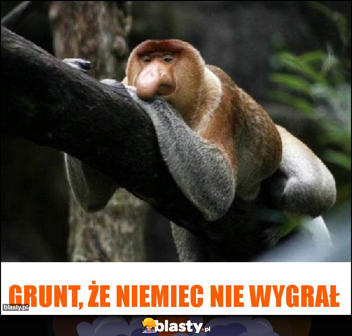 grunt, że niemiec nie wygrał