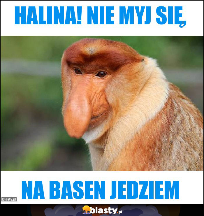 HALINA! NIE MYJ SIĘ,