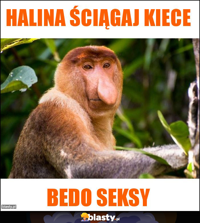 Halina ściągaj kiece