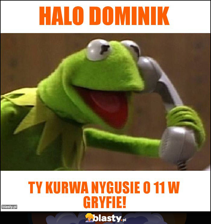 Halo Dominik