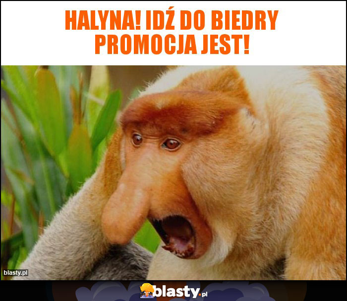 Halyna! Idź do biedry promocja jest!