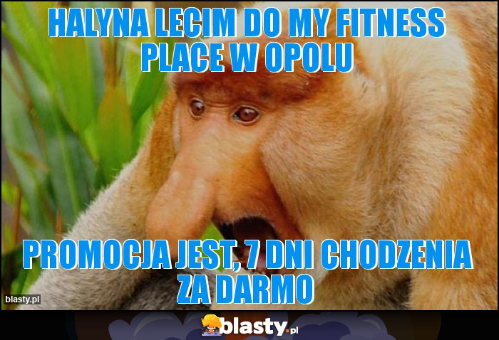 HALYNA LECIM DO MY FITNESS PLACE W OPOLU