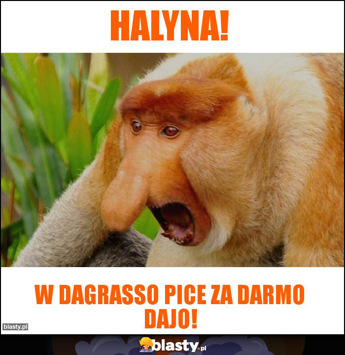 Halyna!