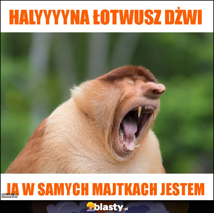 halyyyyna łotwusz dżwi