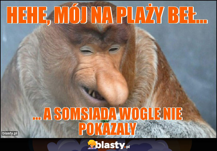 Hehe, mój na plaży beł...