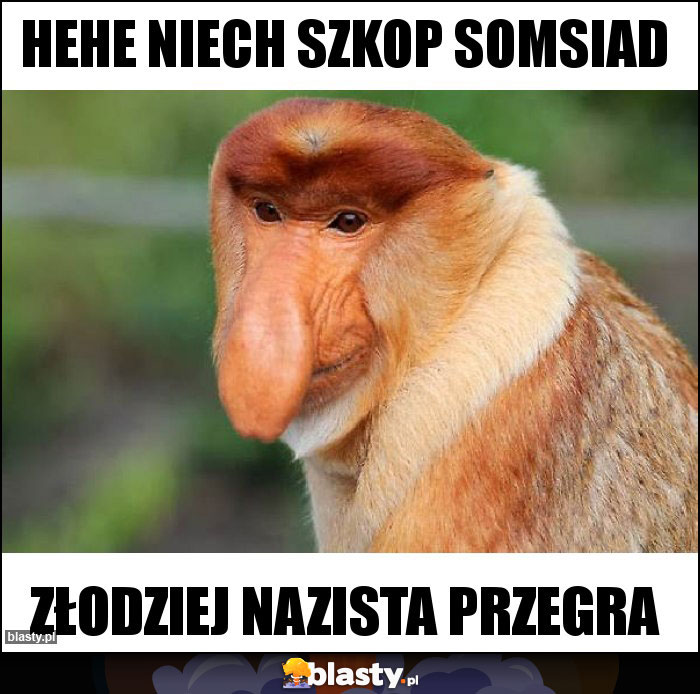 Hehe niech szkop somsiad