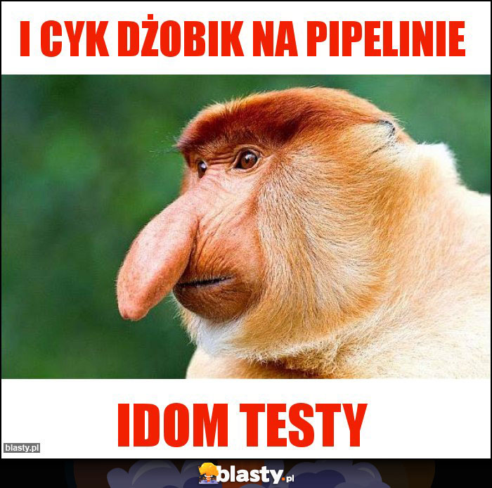 I cyk dżobik na pipelinie