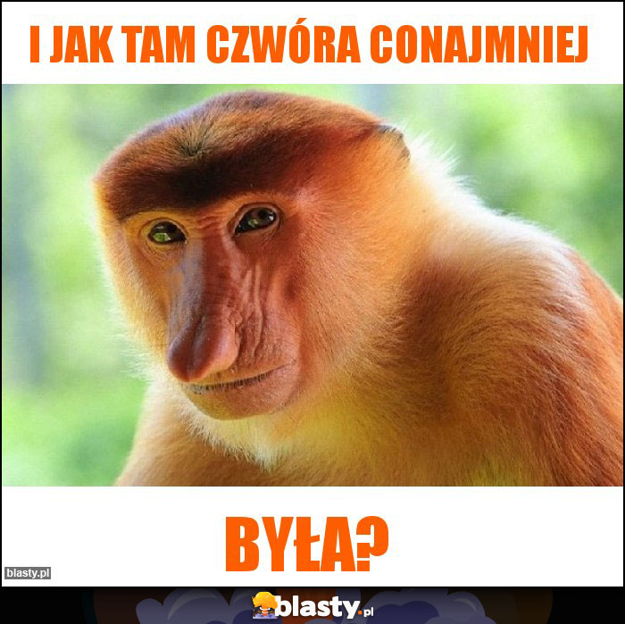 I JAK TAM CZWÓRA conajmniej