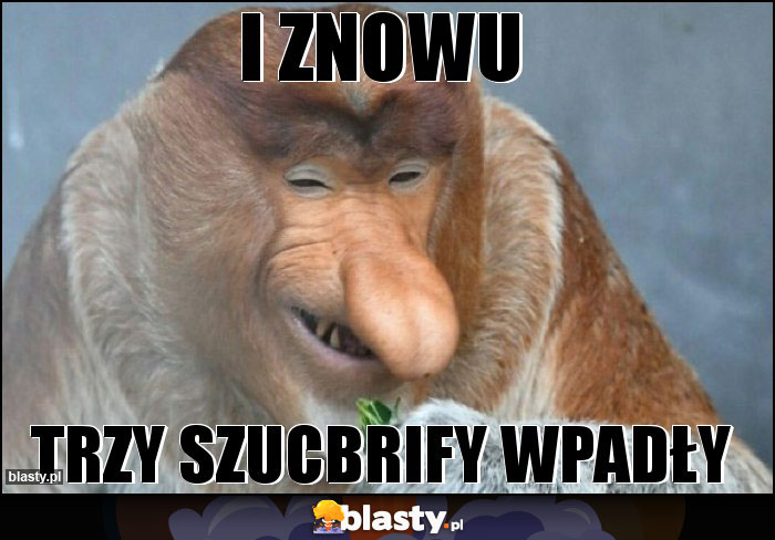 I znowu