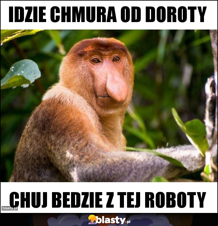 idzie chmura od Doroty