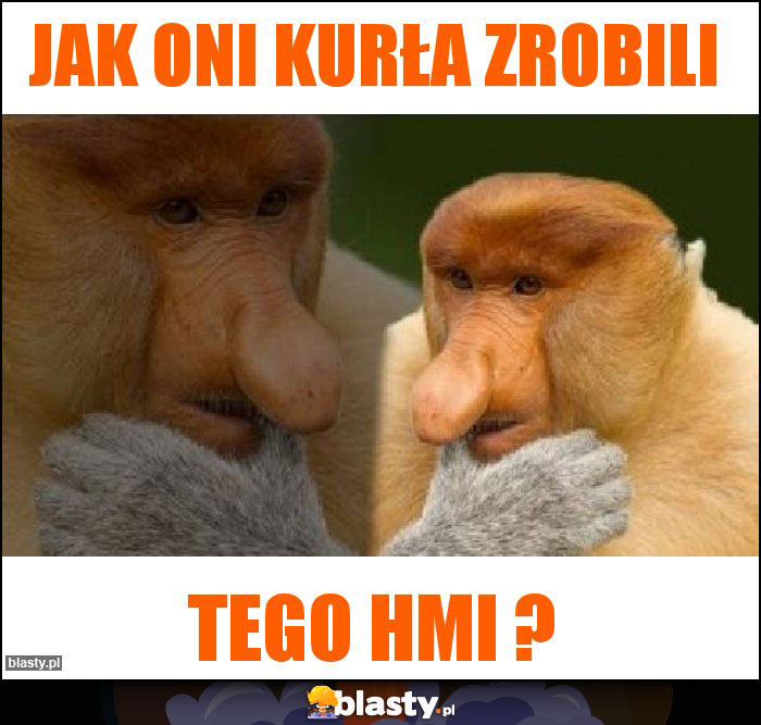 Jak oni kurła zrobili