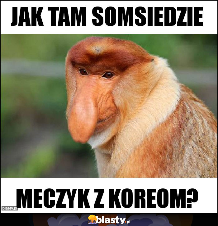 Jak tam somsiedzie