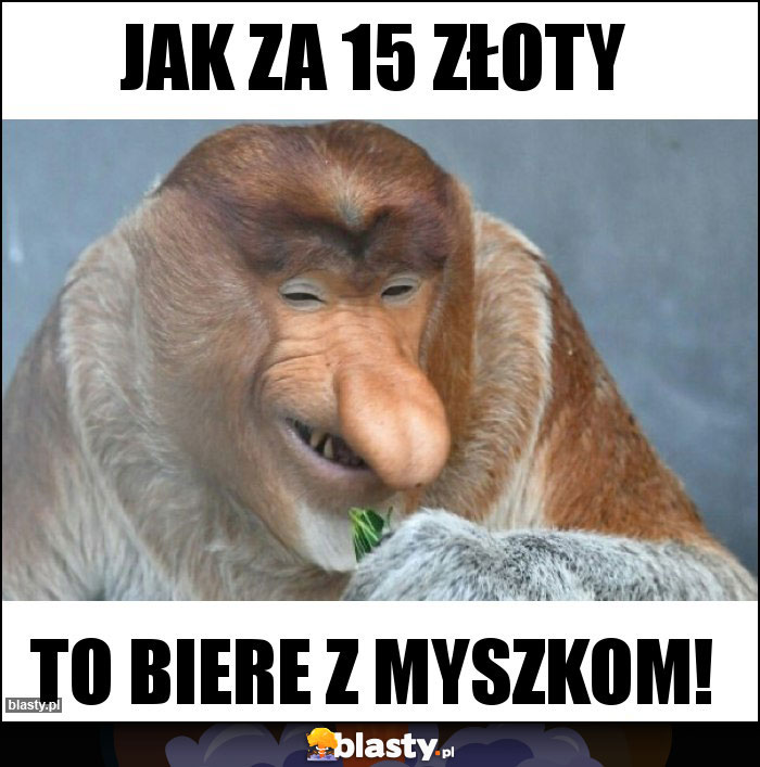 Jak za 15 złoty