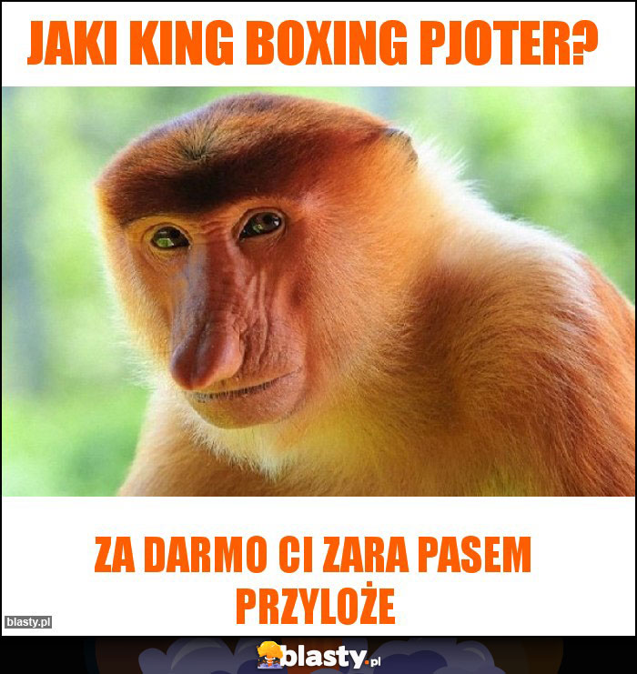 Jaki King boxing pjoter?