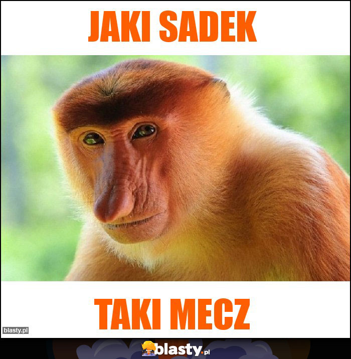 Jaki sadek