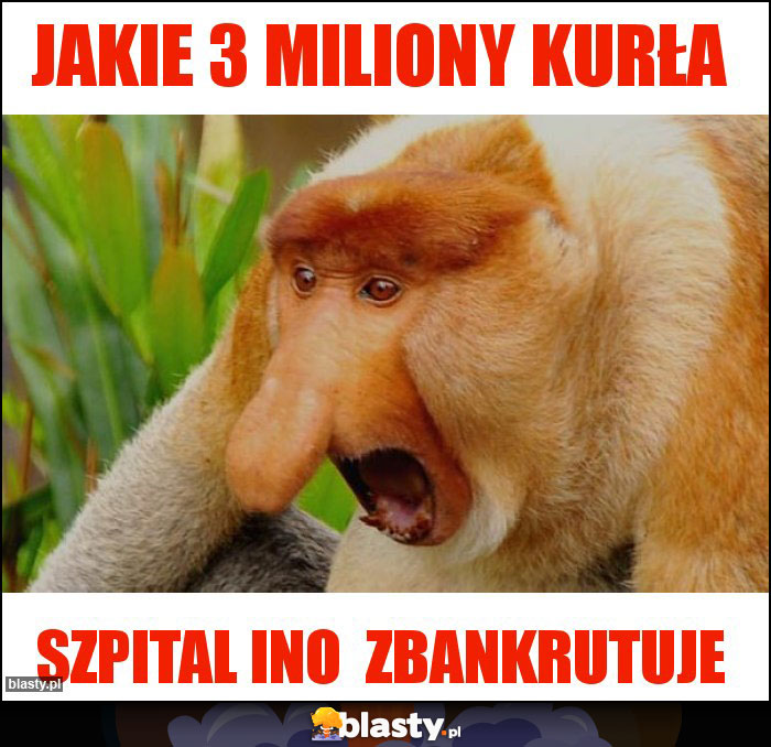 JAKIE 3 MILIONY KURŁA