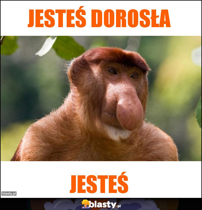 Jesteś dorosła