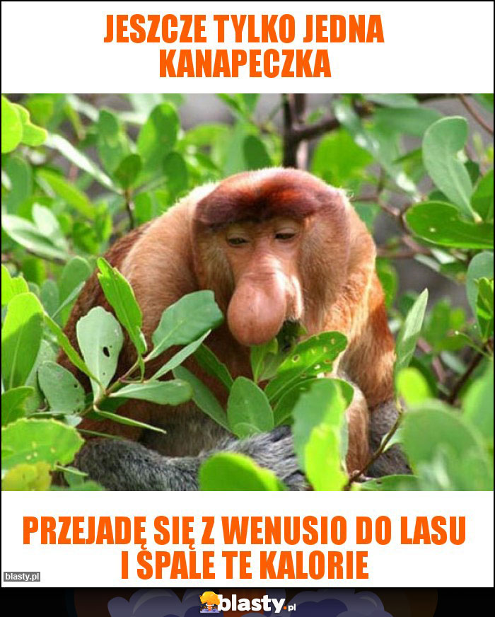 Jeszcze tylko jedna kanapeczka