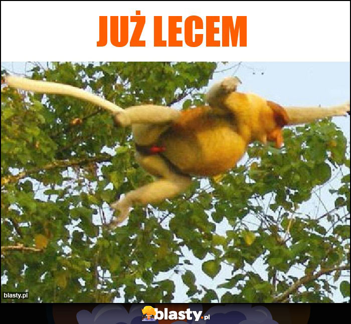 JUŻ LECEM