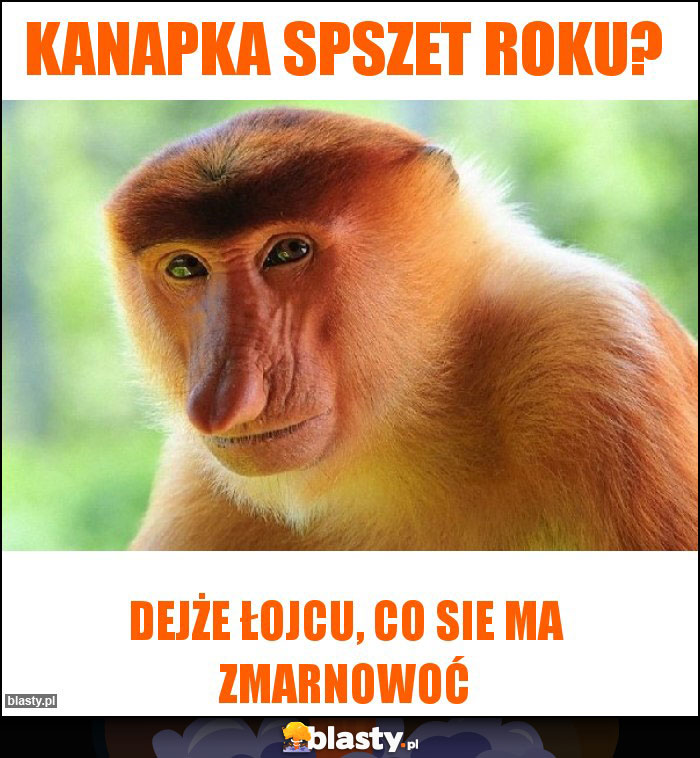 kanapka spszet roku?