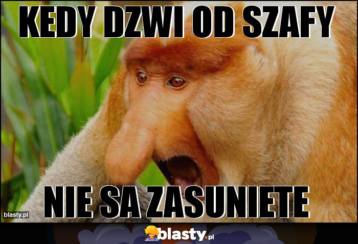 Kedy DZWI OD SZAFY