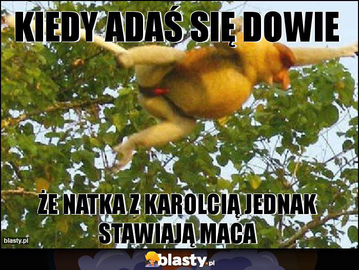 Kiedy Adaś się dowie