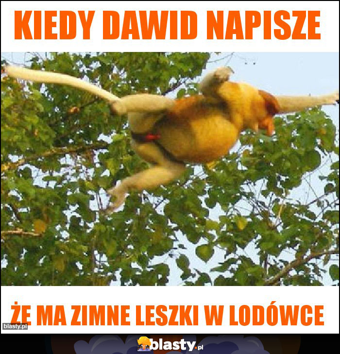 Kiedy Dawid napisze