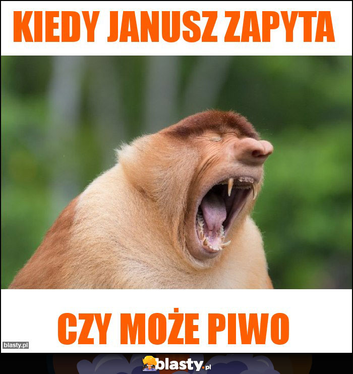 Kiedy Janusz zapyta