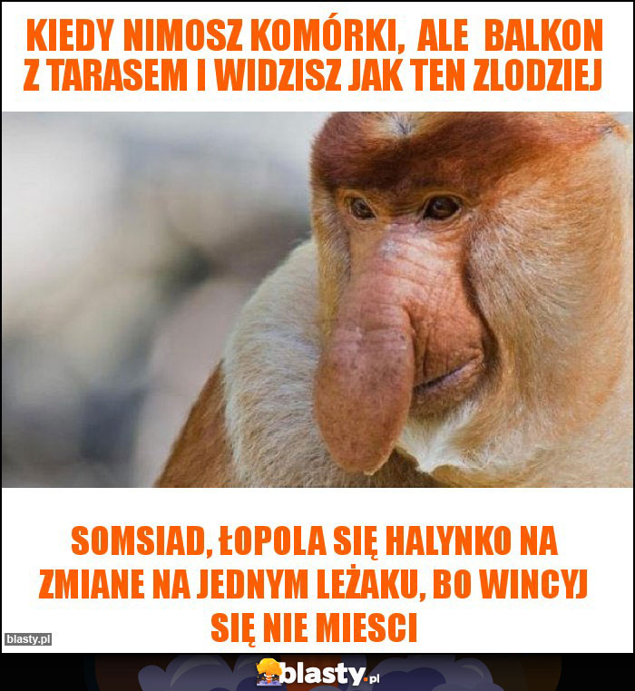 Kiedy nimosz komórki,  ale  balkon z tarasem i widzisz jak ten zlodziej