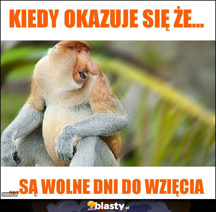 Kiedy okazuje się że...