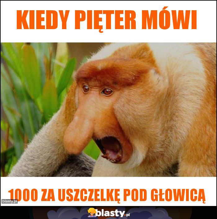 Kiedy pięter mówi