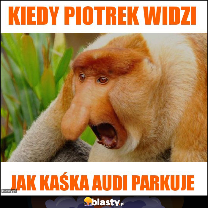 Kiedy Piotrek widzi