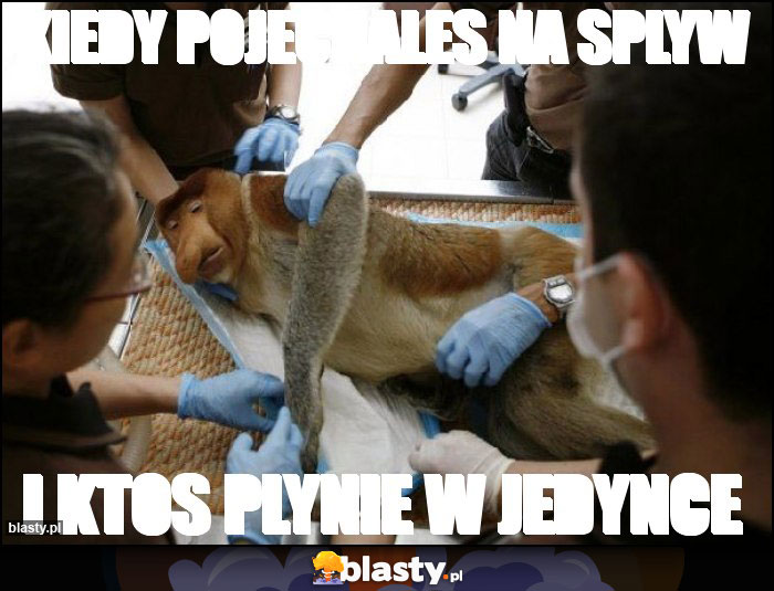 kiedy pojechales na splyw