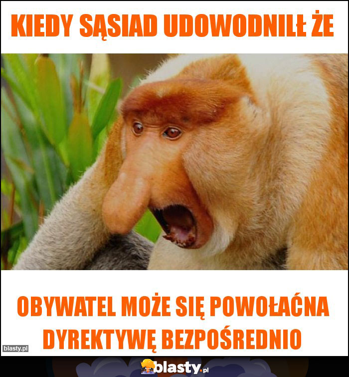 Kiedy sąsiad udowodnilł że