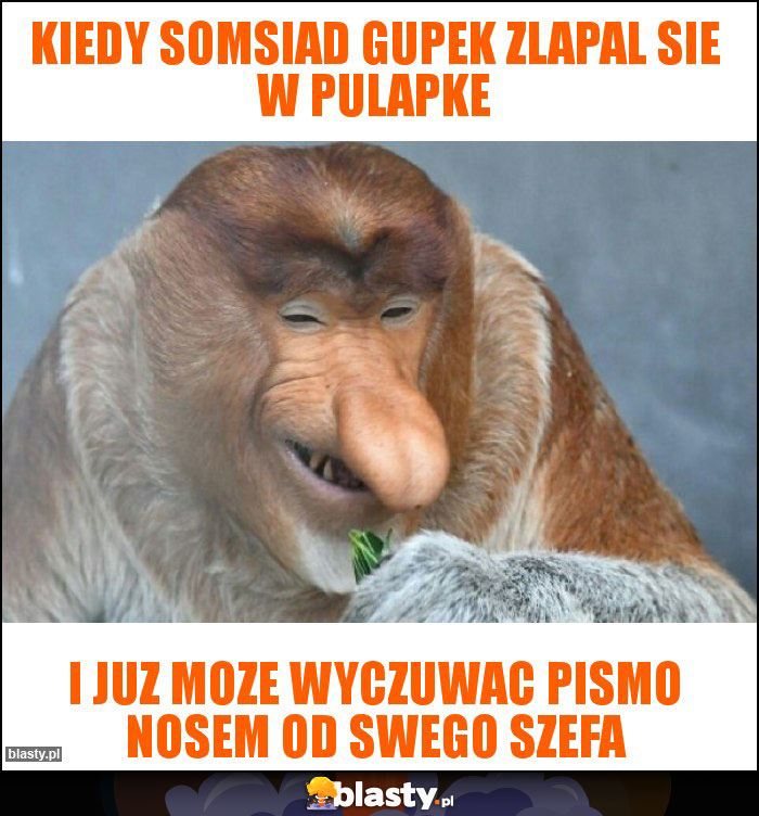 Kiedy somsiad gupek zlapal sie w pulapke