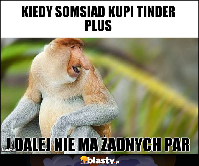 kiedy somsiad kupi tinder plus