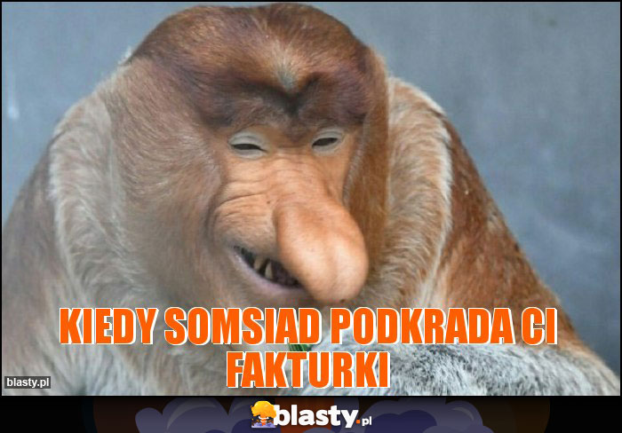 Kiedy somsiad podkrada Ci fakturki