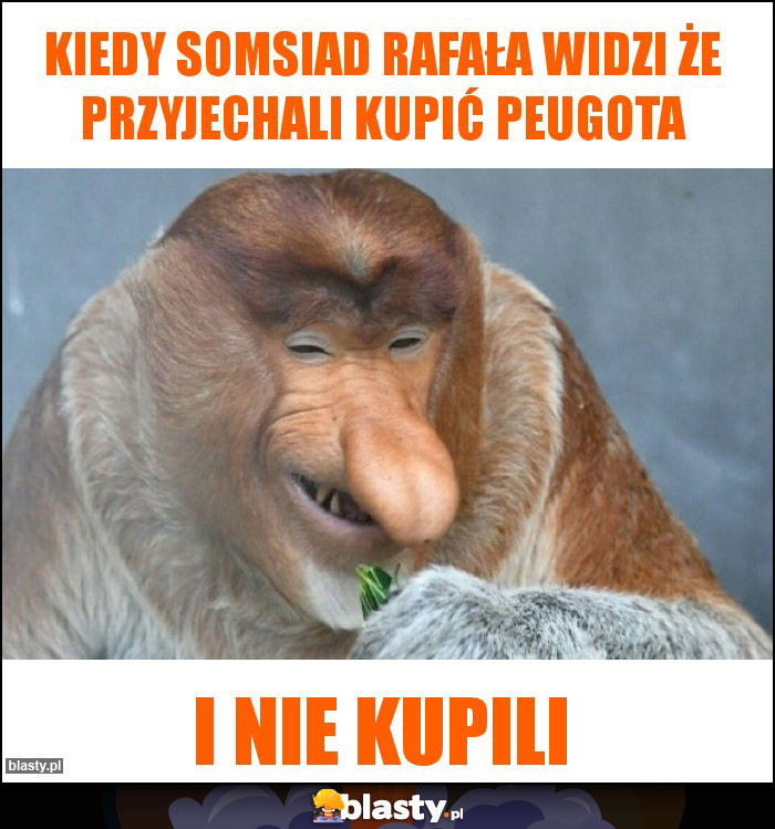 Kiedy somsiad Rafała widzi że przyjechali kupić peugota