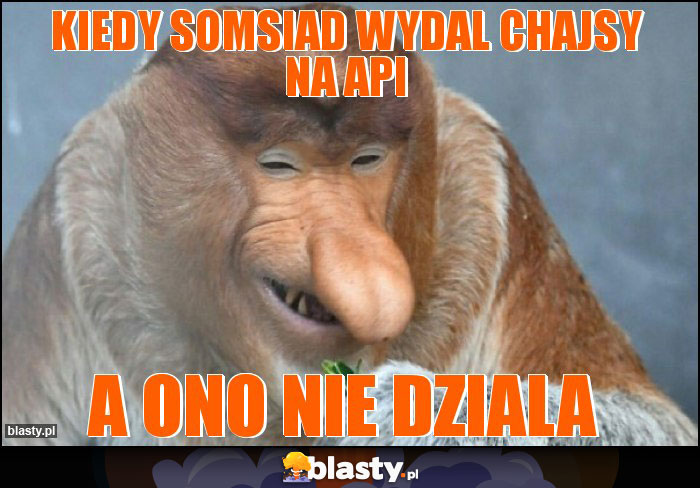 kiedy somsiad wydal chajsy na api