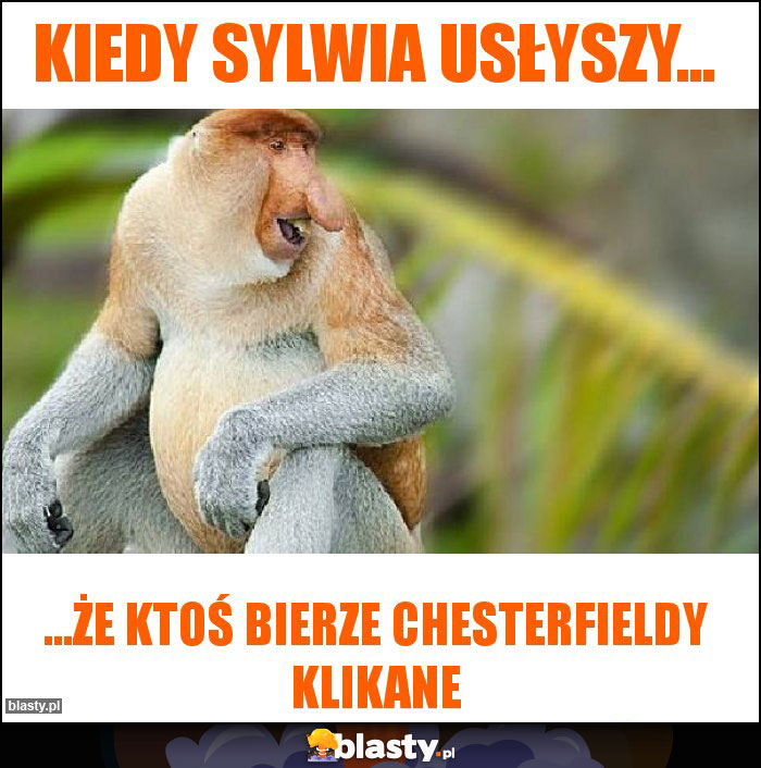 Kiedy Sylwia usłyszy...