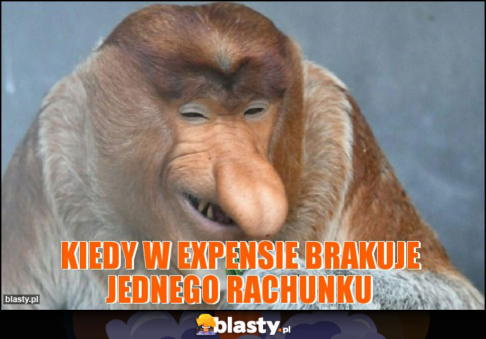 KIedy w expensie brakuje jednego rachunku