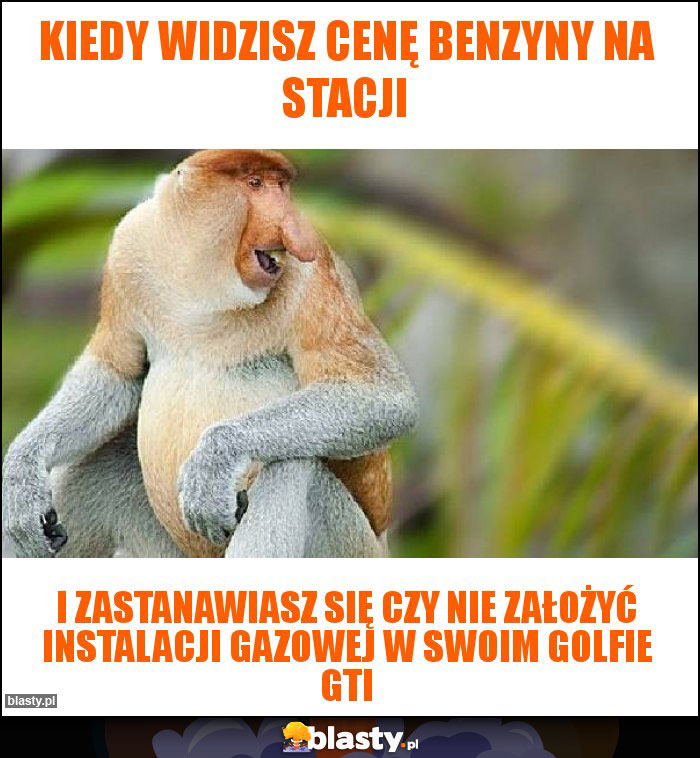 KIEDY WIDZISZ CENĘ BENZYNY NA STACJI